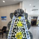 조앤조연합치과의원 이미지