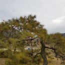 구암동387 이미지