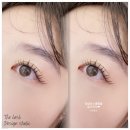 더래쉬 디자인스튜디오