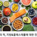 다이어트의 적, 지방& 콜레스테롤에 대한 진실 이미지