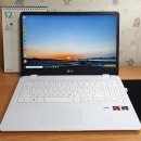 진컴 | [노트북] LG 울트라북 15U40N-GR56K 키 스킨 리뷰 및 한 달 사용 후기