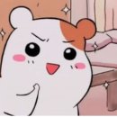 SG FITNESS 이미지