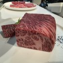 강아지 별장 이미지