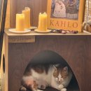 제이제이바 (JJ Bar) 이미지