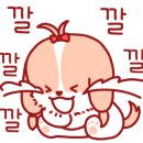 씨스터즈선물 이미지