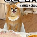 (주)오아제
