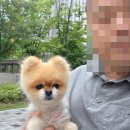 복음보청기 성남센터 이미지