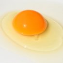 달걀에서 보이는 ‘빨간 점, 흰 끈’ 먹어도 될까? 이미지