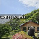 노고단전망대쉼터 | [경남 함양] 지리산 절경 감상 명소 조망공원 &amp; 아늑한 카페 뷰 맛집 오도재 후기