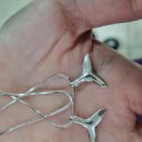 와이엠몰 이미지