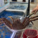 농수산물도매시장 수산동-2 이미지