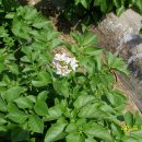 재구농장 이미지