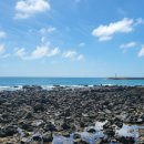 하모리-21 이미지