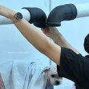 씨앤디펫샵 이미지