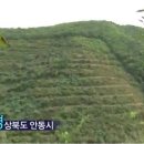 대산농장2 이미지