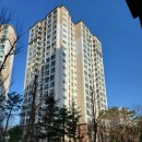 모아미래도 이미지