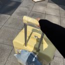 진접과일왕 | 남양주시 백일상 무료대여 후기