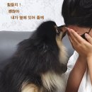 도원여관 이미지