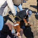 찬호농장 이미지