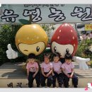 유영농장 이미지