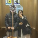 벌스데이레오 이미지