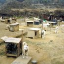 전의농장 이미지