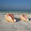 행복 여관 이미지