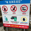 한라산둘레길안내센터 | 제주 동쪽 여행 | 사려니 숲길 데크길 가는 방법 | 한라산둘레길 숲길센터로 갈게요.