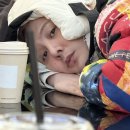 팔로인 이미지
