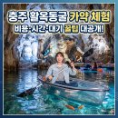 가춘천 | 충주 활옥동굴 카약체험 비용 시간 대기 꿀팁 대공개