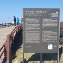 월령백련초가