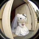데스까프로젝트 | 💍 아이웨딩 플래너 선택 이유 | 결혼 준비 스트레스 확 줄이는 방법! 드레스 피팅 무료 체험까지👗