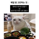 다이소개신 | 2026년 07월 [01일~15일]