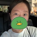 더 자라다 | 자라다브로우 눈썹반영구 솔직후기 지성피부도 내돈내산으로 인정한 눈썹맛집