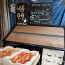 감곡농장 | 감곡 복숭아 모이세농원 과즙뚝뚝 실제 구매후기