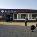 농우생고기