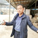 바우목장 이미지