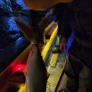 드림바다실내낚시터 이미지