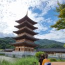 사명대사공원건강문화원 | 김천 사명대사공원 건강문화원 입장료 강아지