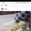 안지안미용실