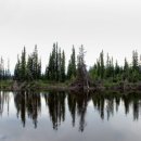 숭문고등학교 이미지