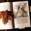 건강라인댄스 이미지