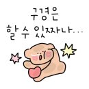 쌤트 네이버블로그