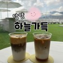 담양 초대형카페 하늘가득다녀온 솔직후기