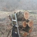 대강농장 이미지