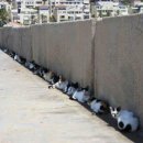 옹기종기 이미지