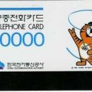 호돌이네 이미지