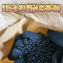 한일레포츠 이미지