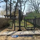 보체초등학교 이미지