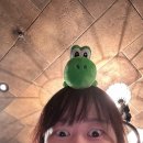 2). 오사카 유니버셜 스튜디오 해리포터 / 호그와트...퍼지플라이스, 페퍼민트토드, 개구리초콜릿 후기
